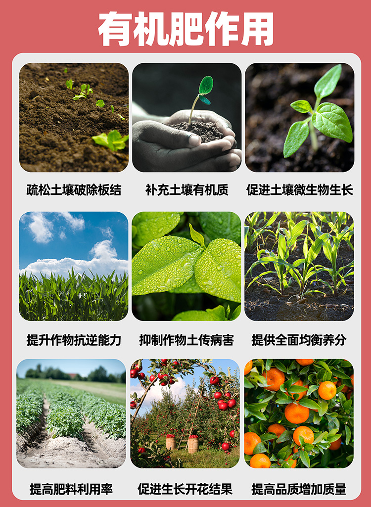 植物(wù)蛋白型有(yǒu)機肥料